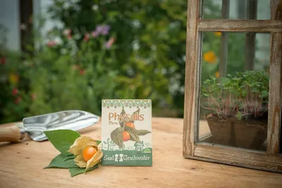 Productafbeelding van Stadstuinier Physalis 'Peru' zaad | helder oranje van kleur met een zoete smaak | zaad voor 40 planten