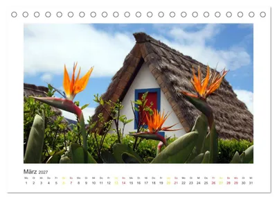 Produktbild von Madeira (Tischkalender 2027 DIN A5 quer), CALVENDO Monatskalender