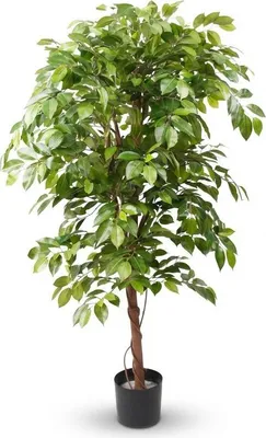 Image de Ficus Deluxe Vine – 140 cm – Plante artificielle réaliste d'intérieur – Arbre artificiel sans entretien au feuillage dense