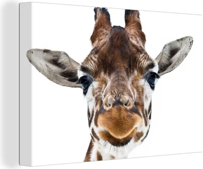 Zdjęcie produktu dla OneMillionCanvasses® - Wydruki na płótnie - 140x90 cm, zbliżenie głowy żyrafy, grafika ścienna dekoracja ścienna