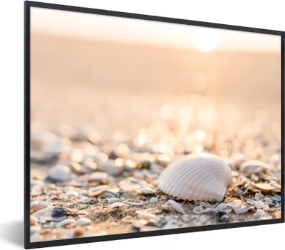 Produktbild von MuchoWow® Gerahmtes Poster Muscheln - Weiß - Strand - Sommer 40x30 cm - Poster mit Schwarzem Bilderrahmen Wandposter Rahmen Foto Bilder - Kunstposter - Wanddekorationen