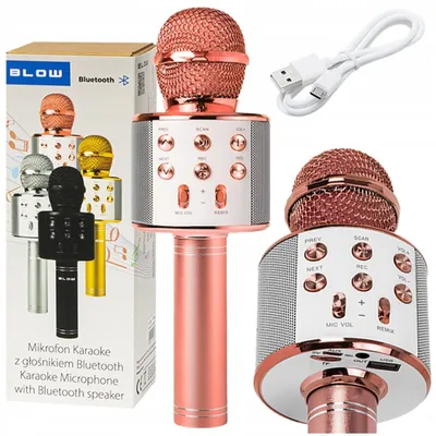 Produktbild von Kabelloses Bluetooth-Karaoke-Mikrofon mit Lautsprecher und Echoeffekt BLOW