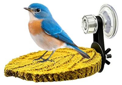 Imagen del producto de Perchas para jaulas de pájaros con ventosa