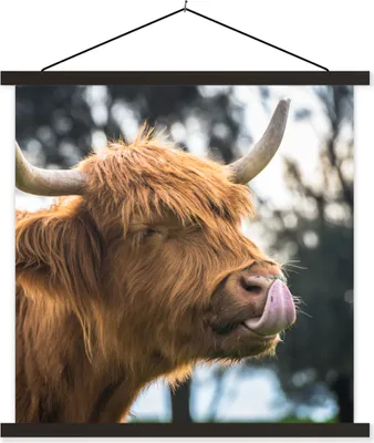 Produktbild von MuchoWow® Textilposter Schottisches Hochlandrind - Nase - Baum 40x40 cm mit schwarzem Rahmen - Fotos