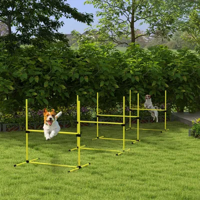 Zdjęcie produktu dla PawHut Agility Set Dogs, 4-częściowy zestaw regulowanych pod względem wysokości tyczek do skoków, wtykowy zestaw przeszkód z 4 przeszkodami, torba transportowa, zestaw tyczek do ćwiczeń koordynacyjnych do treningu gier