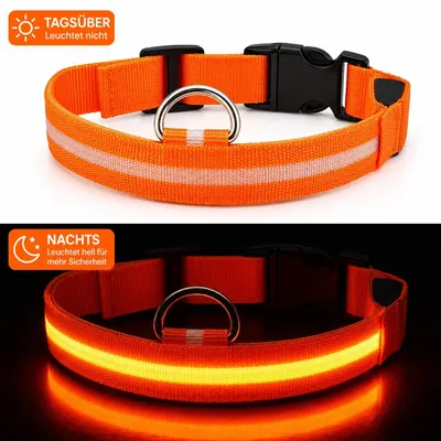 Produktbild von LED Hundehalsband USB aufladbar reflektierend Leuchthalsband verstellbar S–XL für Hunde Nacht Sicherheit inkl. Ladekabel Gr. S (34 - 41cm) - ORANGE