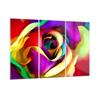 Produktbild von Bilder auf glas - Blume Farbe Rose - 105x70cm - Glasbilder - Wandbilder - Kunstdruck - zum Aufhängen bereit - Wanddekoration aus Glas - Glas Bilder - Wandbild auf Glas - 3 Teile - GCE105x70-3623