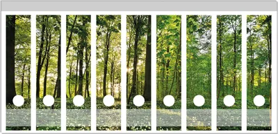 Produktbild von Wallario Ordnerrücken Sticker, selbstklebend für breite Ordner, 9 Stück, Motiv Waldanemonen und Sonnenstrahlen im Wald