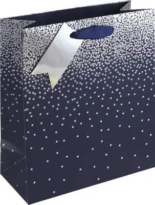 Produktbild von Clairefontaine 6x Geschenktasche M, 21,5x10,2x25,3 cm - Blau 30861-3C