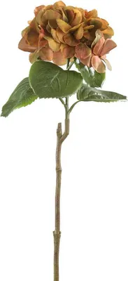 Zdjęcie produktu dla Gilde Hortensie "Lea"   aus Kunststoff · braun  Höhe 60 cm   56483