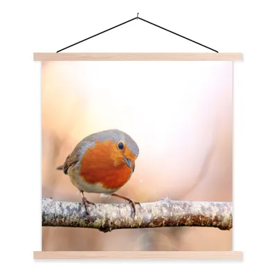 Produktbild von MuchoWow® Textilposter Rotkehlchen - Ast - Baum 120x120 cm mit holzfarbenen Rahmen - Textil-Poster