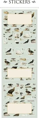 Image de Autocollants décoratifs ST161-6 oiseaux 2 feuilles