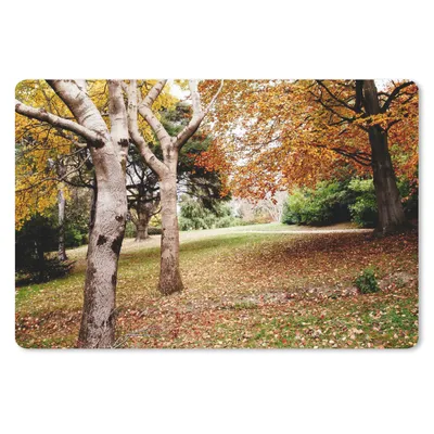 Produktbild von MuchoWow® Schreibtischunterlage Herbst - Bäume - Laub - Natur 60x40 cm - XXL Mauspad - Großes Mauspad