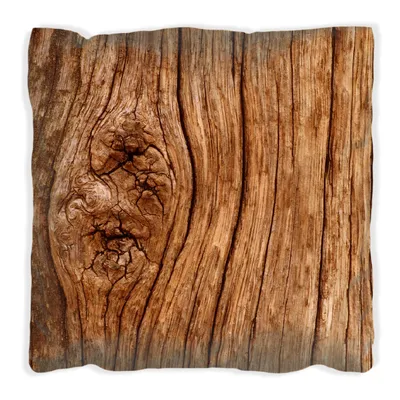 Produktbild von Wallario Premium Kissen, weiche Oberfläche, mit Motiv Holzstamm mit Asteinschluss, Größe: 60 x 60 cm, mit weißer Rückseite