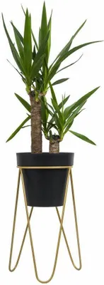 Produktbild von Blumenständer, Blumenbeet Modern Metall, Loft, Gold 45cm
