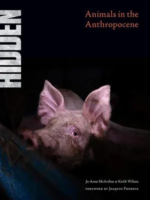 Zdjęcie produktu dla Hidden