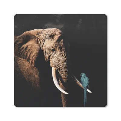 Produktbild von MuchoWow® Mauspad Mousepad Elefant - Papagei - Zähne 30x30 cm - Mousepads - Maus Mat - Pad - Mausunterlage - Gaming