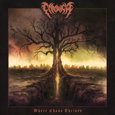 Obrázok produktu pre Kronika: Kronika: (limitovaná edícia) - - (LP / W)