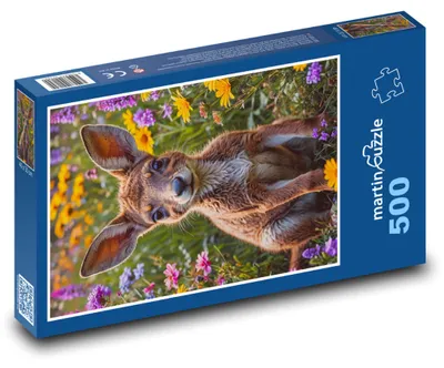 Obrázek produktu pro martinpuzzle - Puzzle 500 - Klokan