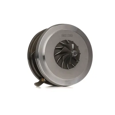 Produktbild von RIDEX 4973C0231 Rumpfgruppe Lader passend für MERCEDES-BENZ A-Klasse (W169) B-Klasse (W245)