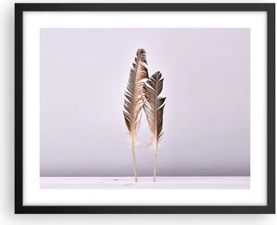 Produktbild von Gerahmtes Poster - Schwarzer Rahmen - Zwei Federn Flieder - 50x40 cm - Wand Bild - Wanddeko - Wandbilder - Kunstposter - Wandposter - Bilderrahmen - Bilder - Kunstdruck - Wandbild - P2BAA50x40-4335