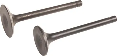Obrázek produktu pro Ventily motoru Loncin cpl. LC80NB20-6.1Q ORIGINÁLNÍ DÍL 500550065-0001