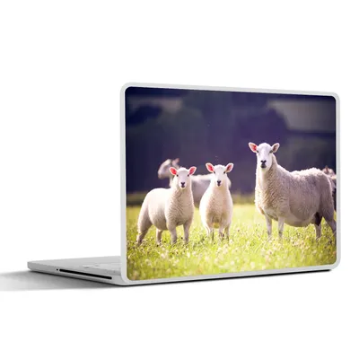 Produktbild von MuchoWow® Laptop Aufkleber Sticker Cover Schaf - Lamm - Blumen 32.5x23.5 cm - Sticker für Laptop - Selbstklebend
