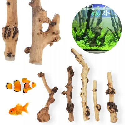 Obrázek produktu pro Akvarijní dekorace Tall Wood, kořen do akvária, přírodní dřevo, sada 5 kusů, 20 až 50 cm