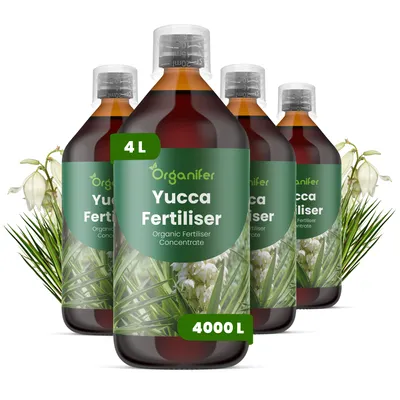 Obrázok produktu pre Tekuté hnojivo pre Yuccu, 4 x 1 liter – vzorec NPK 3-4-3 – Vhodné pre Yuccu – Zaisťuje dlhodobý rast, odolnosť a silu rastlín – Organifer