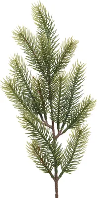Produktbild von Tannenzweig 50cm PE Spritzguss künstlich grün