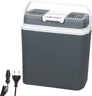 Produktbild von Faziango Elektrische Kühlbox 20L Coolbox 12V/230V Kühlen & Warmhalten，Auto & Steckdose - Thermobox - Mini Kühlschrank - Für Camping, Picknick, Reisen