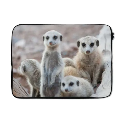 Produktbild von MuchoWow® Laptop Hülle 13 Zoll Neugierige Erdmännchen Laptoptasche - Laptophülle - Sleeve - Rundumschutz
