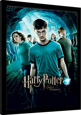 Produktbild von Pyramid International FP10687P, 1 Stück(e), Wizarding World, Rechteck