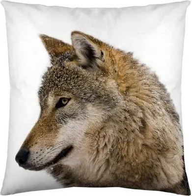 Immagine prodotto di Cuscino decorativo etéreo, copricuscino Husky, colore marrone, 40x40 cm, color taupe, 100% cotone