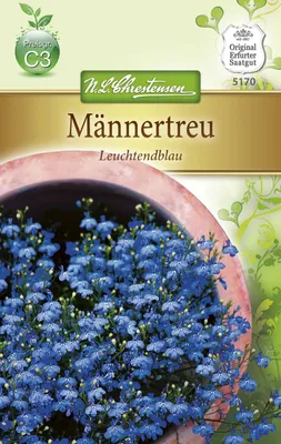 Produktbild von Männertreu Leuchtendblau | Blumensamen von N.L. Chrestensen