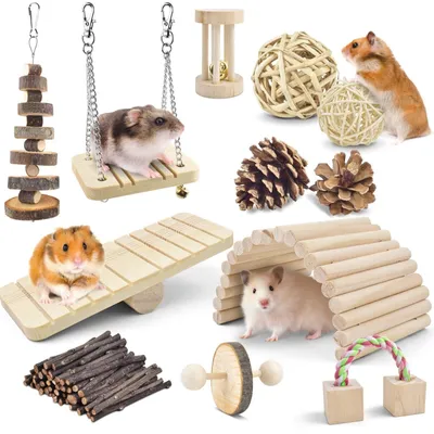 Image de 12 jouets en bois naturel pour hamsters et lapins