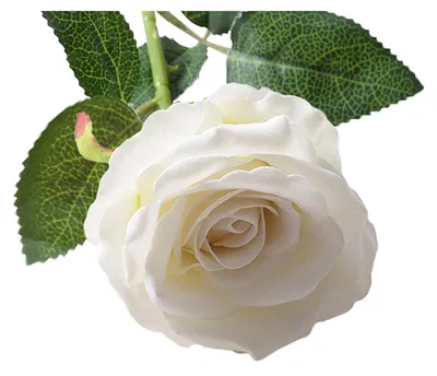 Produktbild von Künstlicher Rosenstrauß mit realistischem, langstieligem Seidenrosen-Strauß für Partys, Zuhause, Hochzeiten, Tischdekoration im Büro