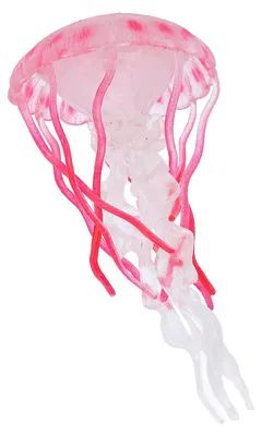Produktbild von 4 Stück Quallen-Wachstumszyklus-Figur, pädagogisches Spiel, simuliertes Modellspielzeug, realistische Meerestiere für Zuhause, Büro, Party-Dekoration