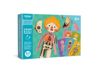 Obrázok produktu pre Magnetická tabuľa – Moje telo