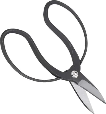 Image de Acier composite Jardin Bonsai Ciseaux de taille Outils de jardinage pour débutants