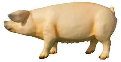 Immagine prodotto di Design Schwein Figur Garten Statue Skulptur Figuren Skulpturen Dekoration c838