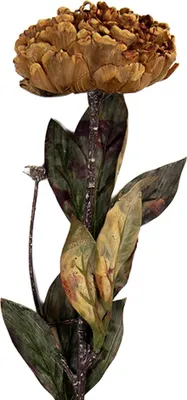 Immagine prodotto di Fiore artificiale Clayre & Eef 10x10x65 cm Plastica gialla