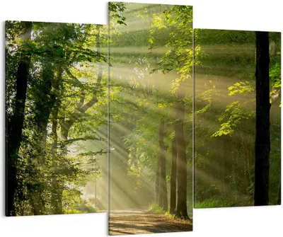 Produktbild von Bild auf Leinwand - Leinwandbild - Wald Baum Natur - 130x100cm - Wand Bild - Wanddeko - Wandbilder - Leinwanddruck - Bilder - Kunstdruck - Wanddekoration - Leinwand bilder - Wandkunst - CB130x100-3661