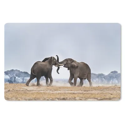 Produktbild von MuchoWow® Schreibtischunterlage Elefant - Tiere - Flachland - Natur 60x40 cm - XXL Mauspad - Großes Mauspad