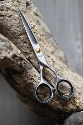 Produktbild von Friseurschere Bool Jaguar PRO 5,5 Zoll silber für Rechtshänder Edelstahl