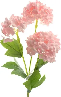 Produktbild von GASPER Schneeballzweig Rosa mit 3 Blütenbällen 60 cm - Kunstblumen