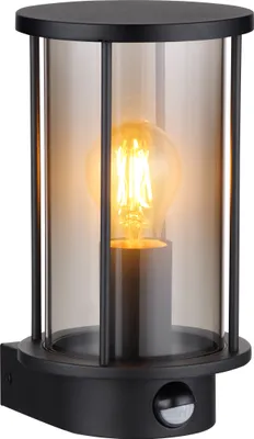 Obrázek produktu pro GLOBO 31360S, Nerezová ocel, Sklo, Kov, I, IP54, E27, 60 W, 230 V