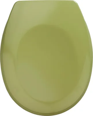 Produktbild von WENKO WC-Sitz Bergamo Moosgrün Edelstahl Toilette Klo Brille Bad Gäste WC