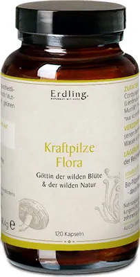 Produktbild von Kraftpilze Flora - Vitalpilz Synergetikum - 120 Kapseln