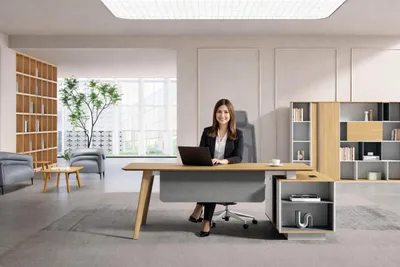 Image de Ensemble de bureau moderne marron : bureau d'angle élégant et bibliothèque en bois